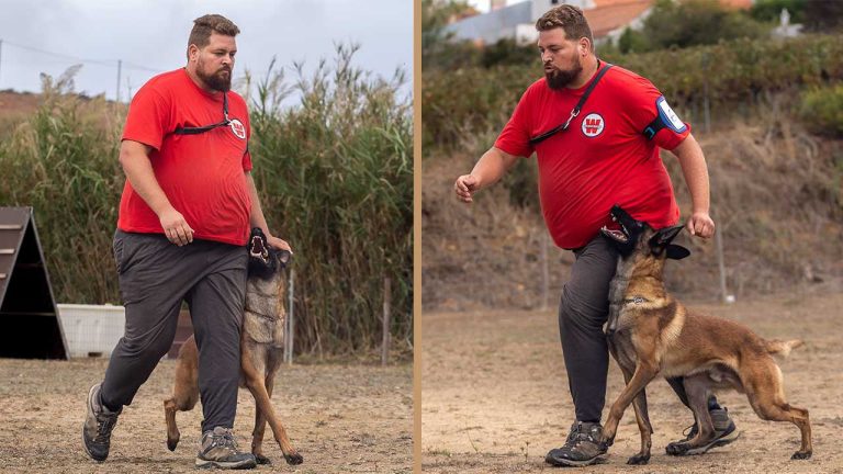 cão a executar o exercício junto