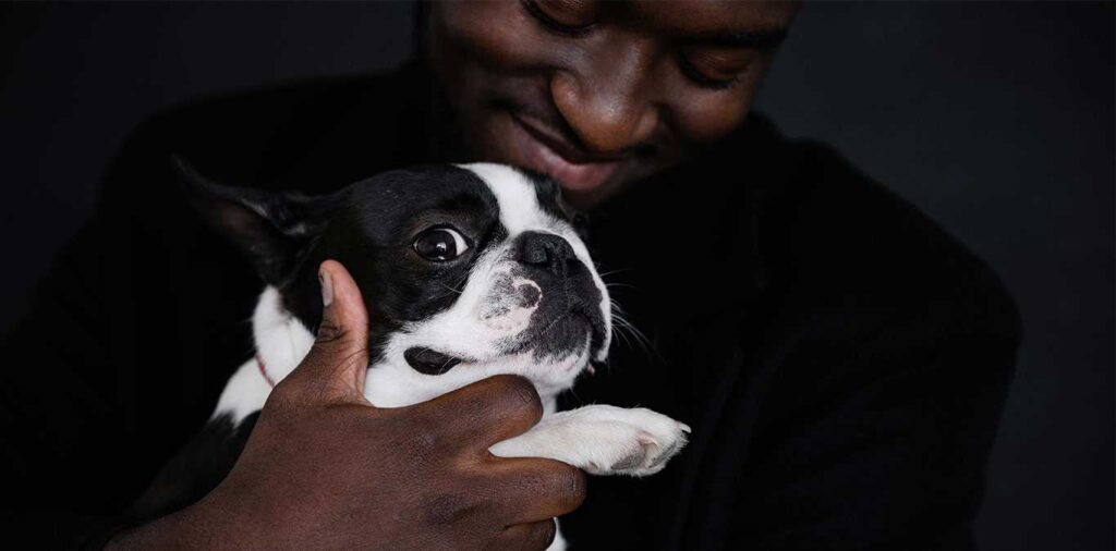 Homem negro segura no seu Bulldog Francês com carinho