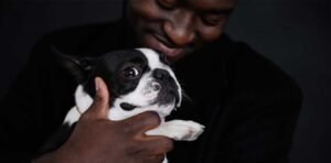 Homem negro segura no seu Bulldog Francês com carinho