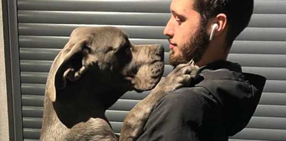 Dono abraçado ao seu cão